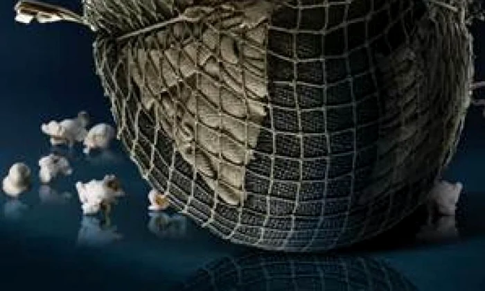 20 de tineri din Republica Moldova si Ucraina la Scoala de Vara „Istorie si Cinema in Basarabia“ jpeg