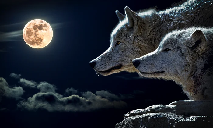Luna Plină a Lupului, Pixabay jpg