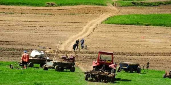Fermierii care isi instraineaza terenurile agricole vor primi de la stat 200 euro/h