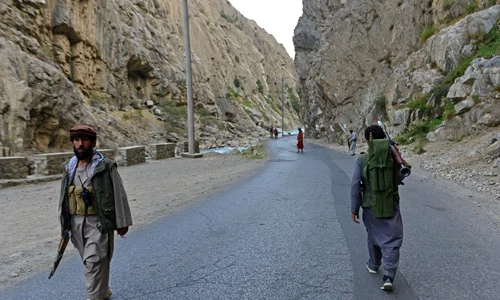 talibani jpeg
