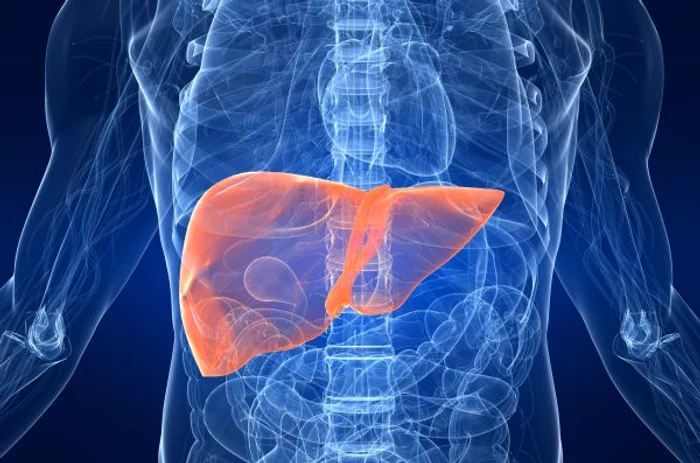 Oboseala excesivă, pierderea nejustificată a apetitului și durerile abdominale pot anunța prezența unei probleme hepatice.www.clicksanatate.ro