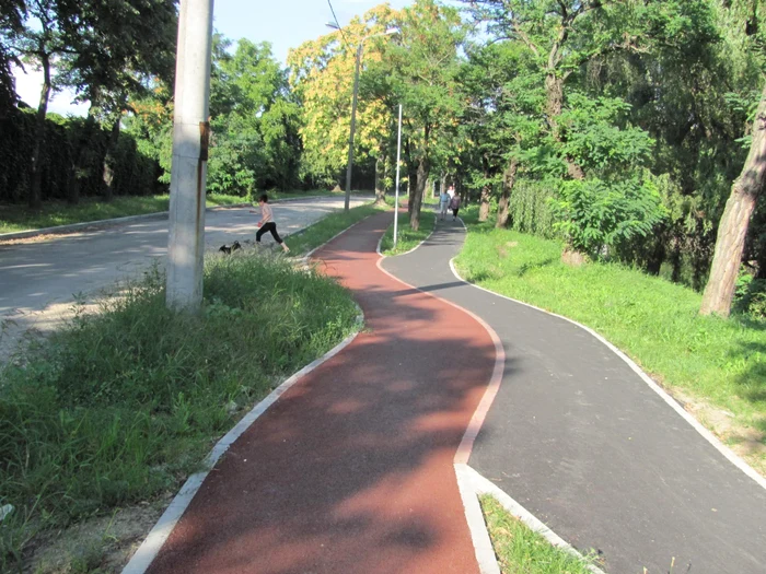 Piasta de biciclete de pe malul Begăi FOTO Ştefan Both