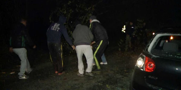 Bataie nepot Nelu de la Ungureni
