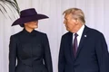 palaria melania tramp jpg