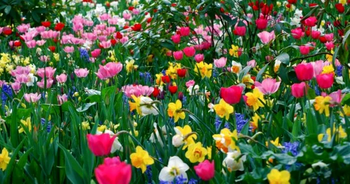 
    În luna aprilie, vremea este schimbătoare, dar de regulă nu mai ninge și nu sunt nici temperaturi foarte mariFOTO: adevarul.ro  