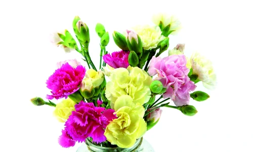 1 64817 original jpg jpeg