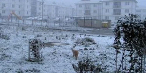 Botoşani: Cartier ANL sub zăpadă