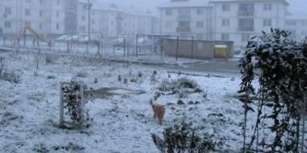 Botoşani: Cartier ANL sub zăpadă