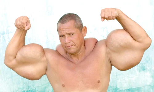 musculos hidos jpeg