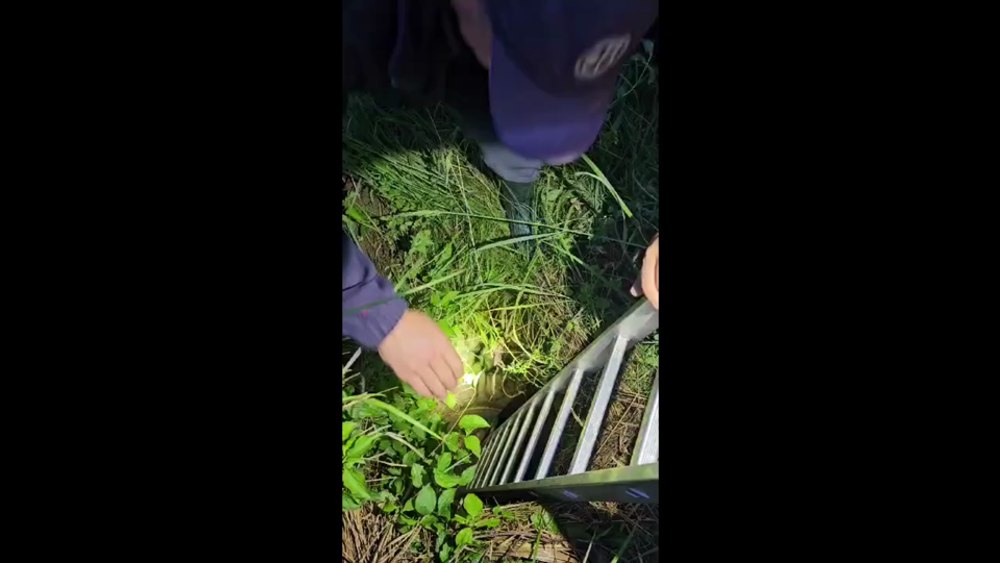 Bambi, un ieduț de căprioară de doar câteva zile, a fost salvat dintr-un puț dezafectat. „Hai, du-te la mămica ta” VIDEO