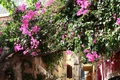 Grecia. Foto: Yevheniia / Unsplash