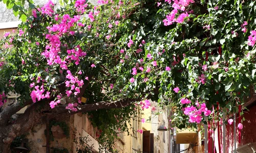 Grecia. Foto: Yevheniia / Unsplash
