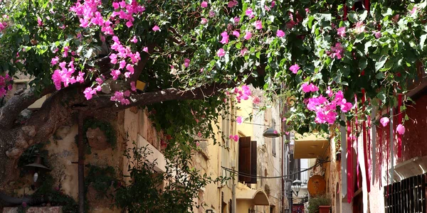 Grecia. Foto: Yevheniia / Unsplash