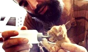 LA început, militanții ISIS se afișau ostentativ pe Internet în ipostaze de ocrotitori ai pisicilor jpeg