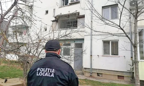 4 act baza varza jpeg