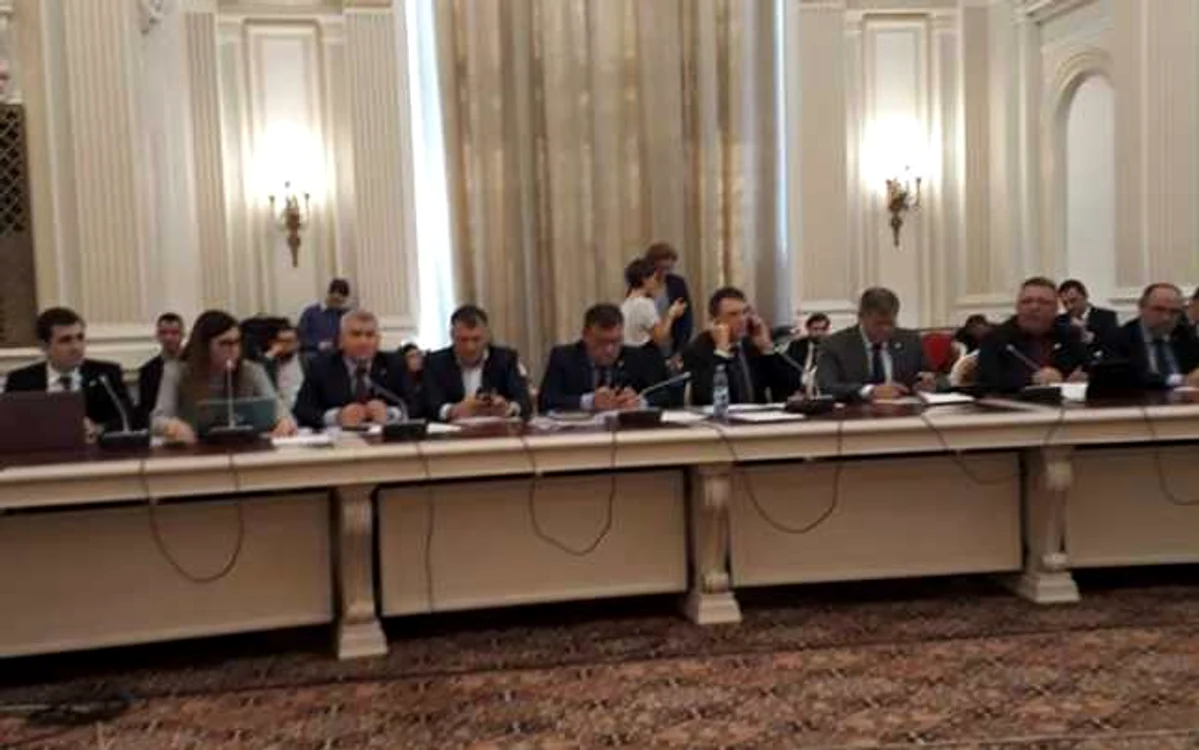 Dezbaterile din cadrul comisiilor reunite FOTO Tudor Benga