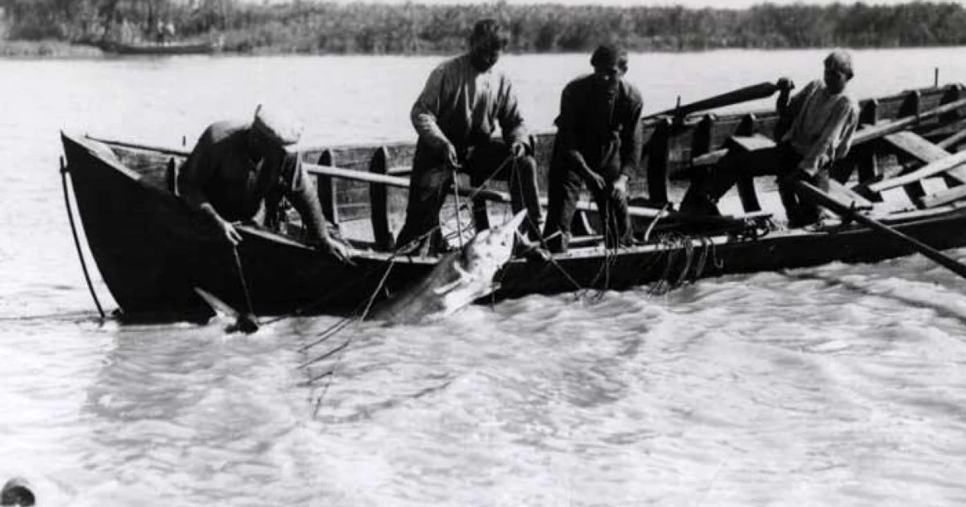 Pescari în Delta Dunării                                                                                     FOTO ARBDD