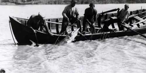 Pescari din Deltă FOTO ARBDD