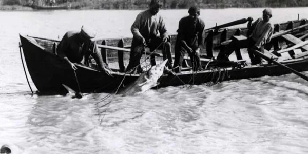 Pescari din Deltă FOTO ARBDD