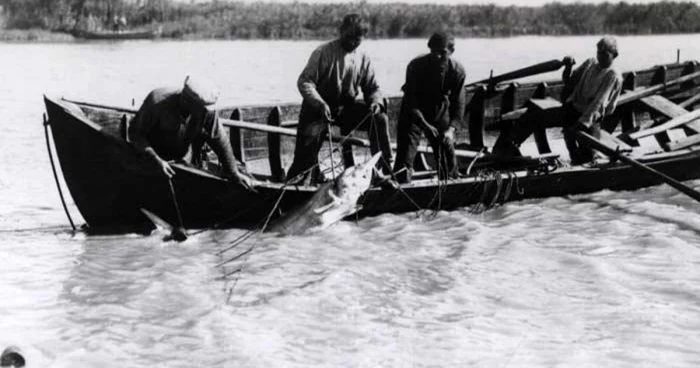 Pescari în Delta Dunării FOTO ARBDD