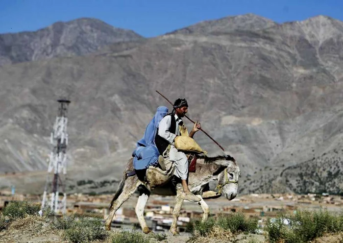 Măgarii, buni la toate în Afganistan