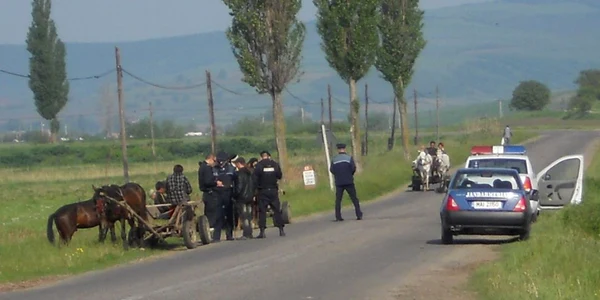 Căruțașii au fost verificați la sânge de polițiști