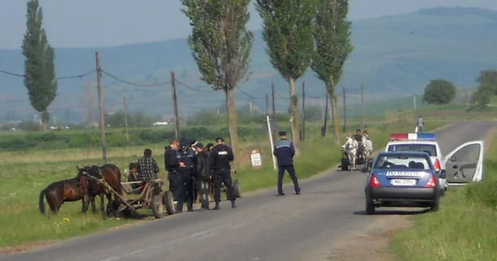 Căruțașii au fost verificați la sânge de polițiști