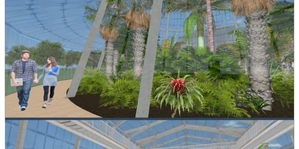 sera tropicala Galati  1