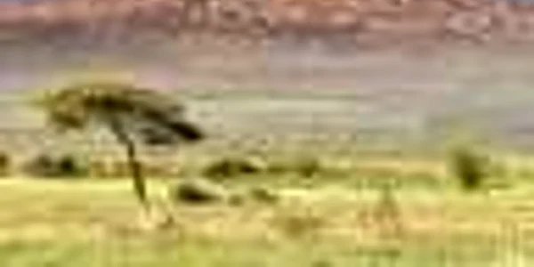 Dispar zăpezile de pe Kilimanjaro