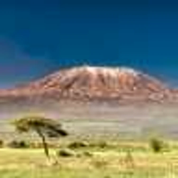 Dispar zăpezile de pe Kilimanjaro