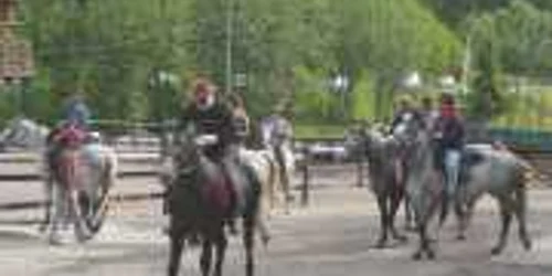 Calul, motorul pensiunilor unde se practică echitaţia