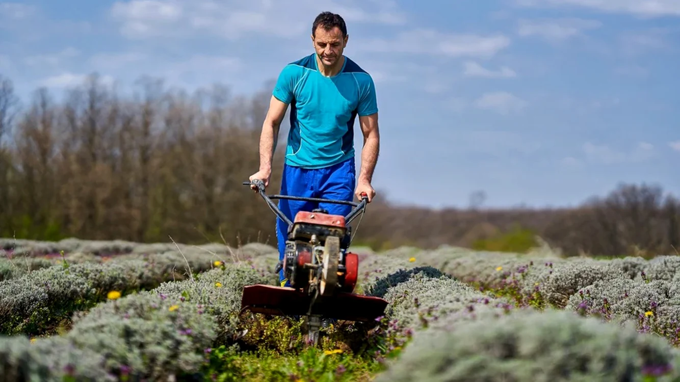 Campionul adoră să muncească în agricultură