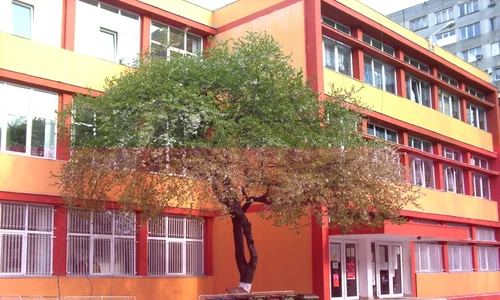 moisil jpeg