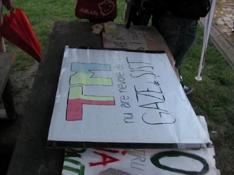 Protest de solidaritate la Timişoara pentru cei de la Pungeşti Foto