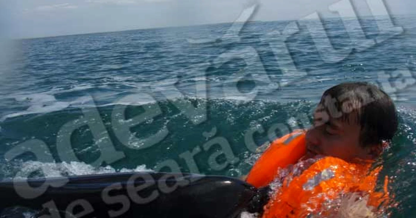 Oceanic Club protejează delfinii.