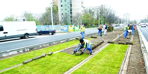 linie de tramvai verde