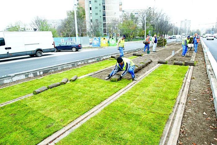 Linia de tramvai verde de pe bulevardul Liviu Rebreanu în 2013 Foto Eduard Enea