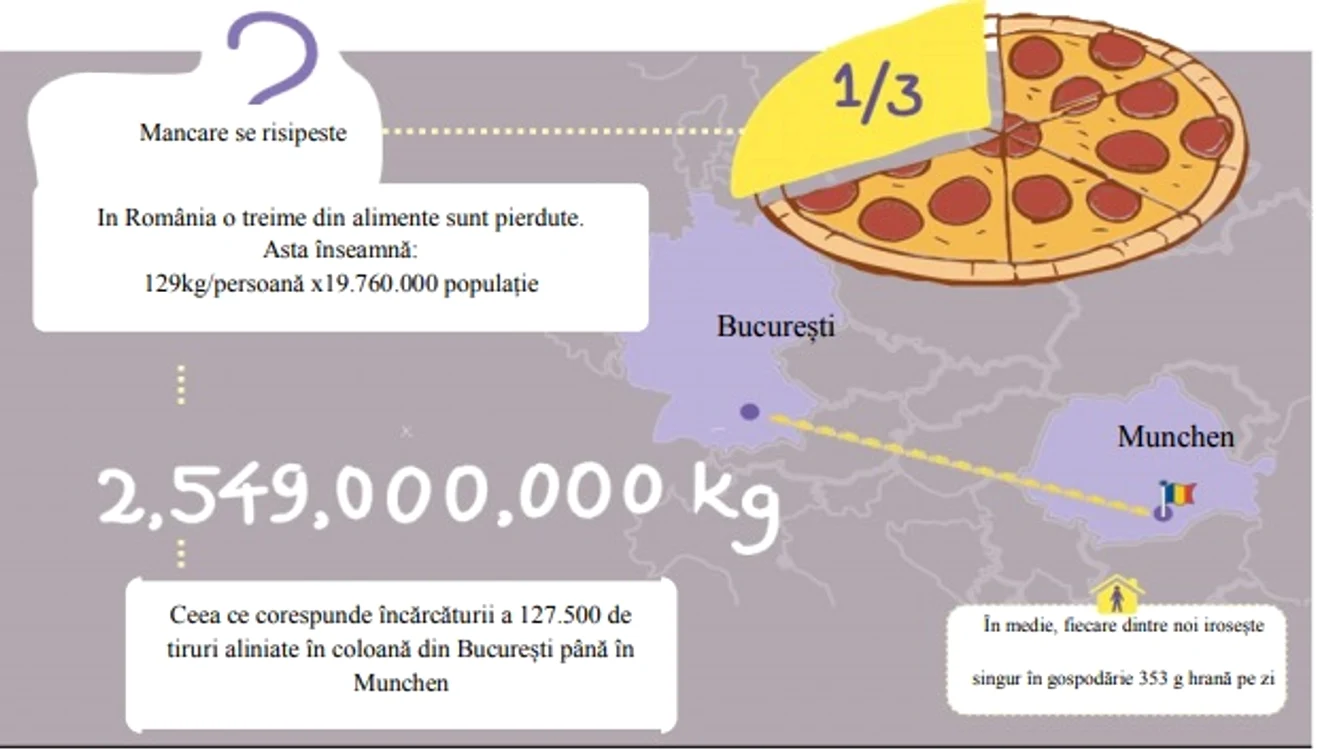 Alimente risipite în România