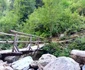 Traseul către Cascada Scoruș din Malaia Vâlcea Foto Daciana Stoica