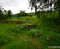 cetatea dacica costesti foto daniel guta adevarul