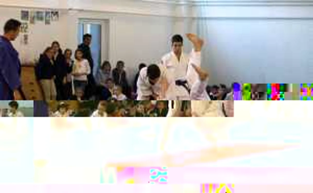 Demostraţie de judo la o şcoală din Alba Iulia