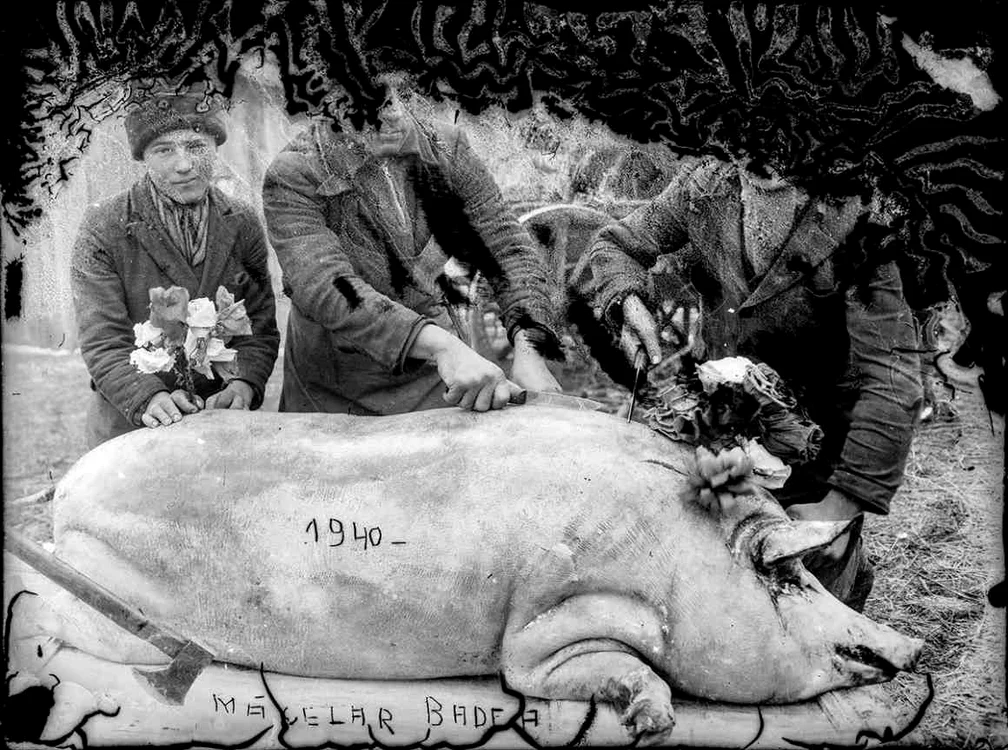 Ţara din afara cadrului jpeg