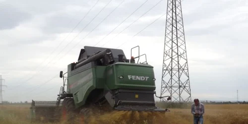 culturile agricole din mehedinti afectate de arsita FOTO Corina Macavei 