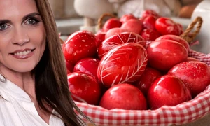 banner aida parascan jpg