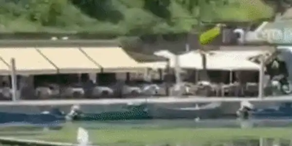 GIF ALGE