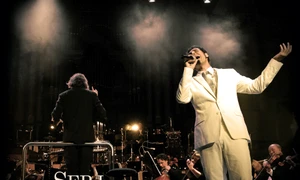 Clovnerism militant de operă jpeg