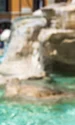 Fontana di Trevi, foto Shutterstock jpg