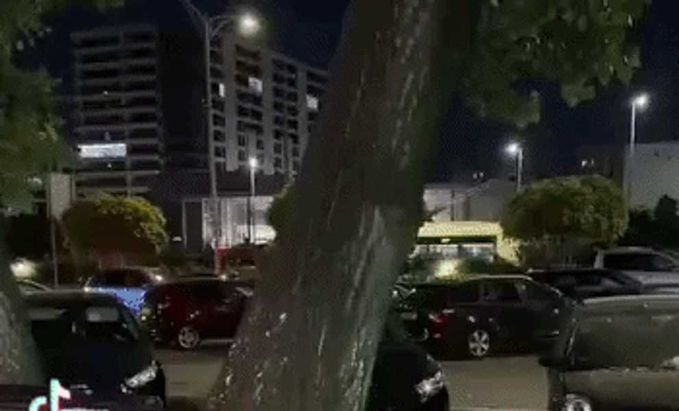 Momentul în care un copac cade, din senin, peste 4 mașini și un bărbat pe scuter, în București