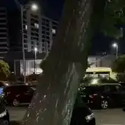 GIF Plop