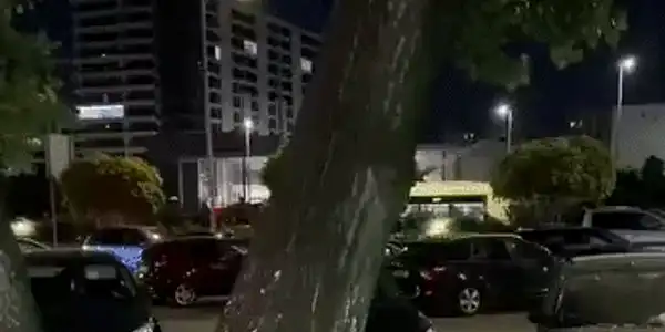 GIF Plop